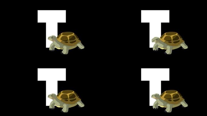 字母T和乌龟在前景