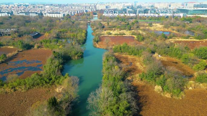 杭州西湖区西溪湿地自然风景视频素材