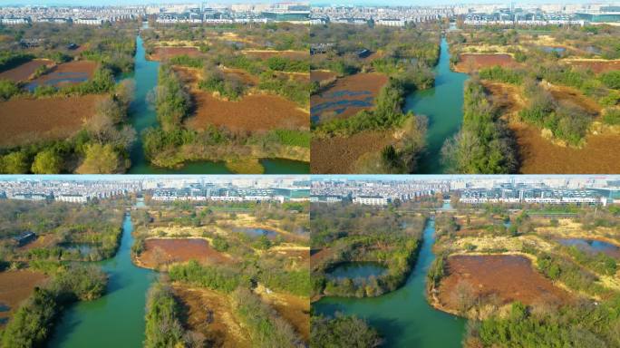 杭州西湖区西溪湿地自然风景视频素材