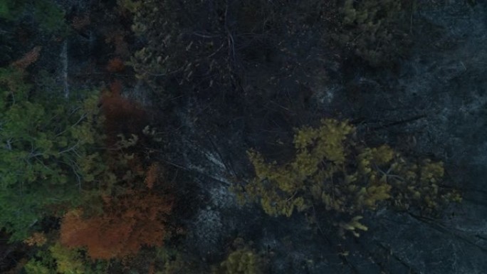 从无人机的角度来看，大火烧毁了森林