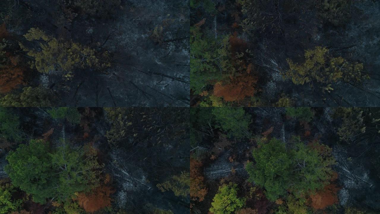 从无人机的角度来看，大火烧毁了森林