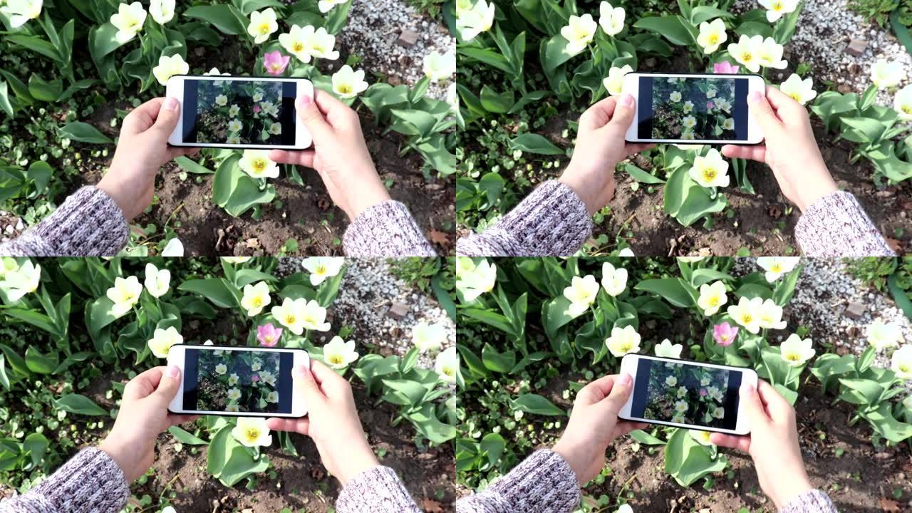 一个十几岁的男孩在春天的花园里使用他的智能手机制作郁金香花的视频或照片