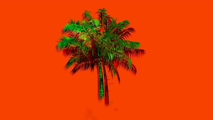 彩色棕榈树4k