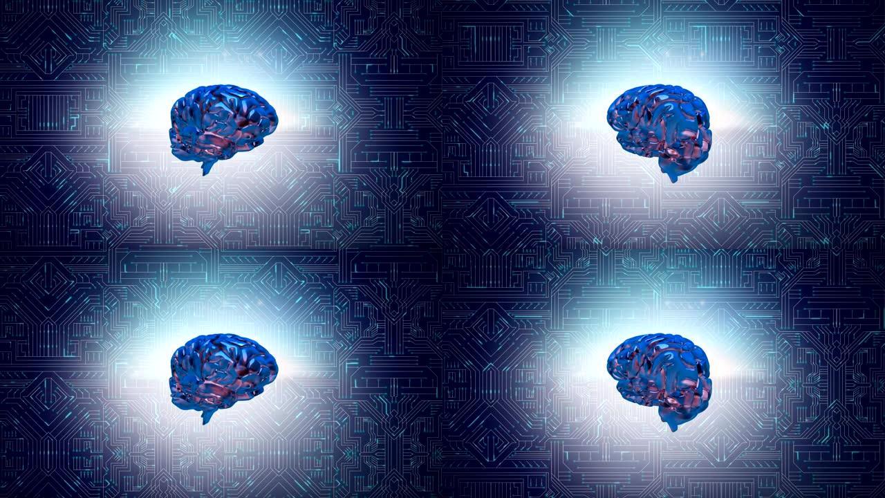大脑和数字电路