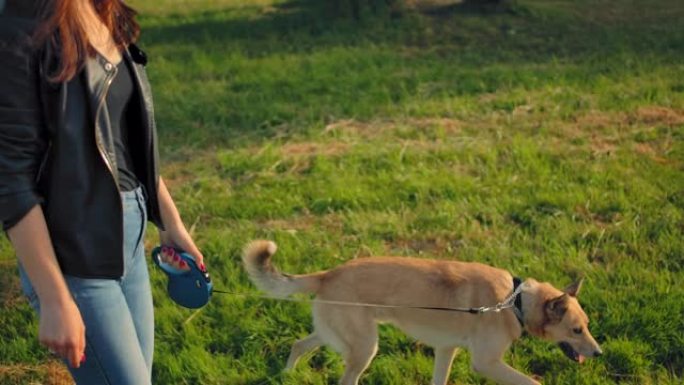 一名20岁的年轻女性牵着狗在公园里散步