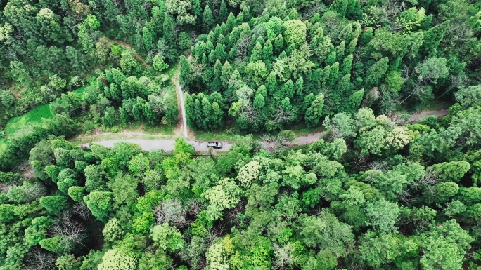 森林车辆无人机跟拍4K