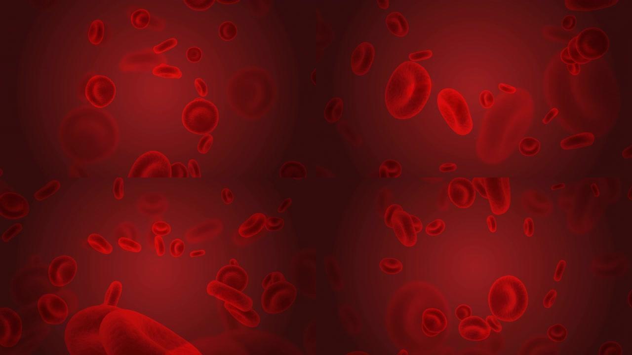 流经循环系统的红细胞