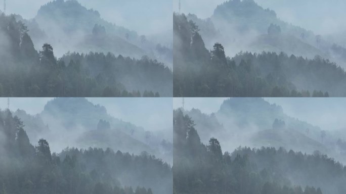 4K正版-航拍山谷雾气森林04