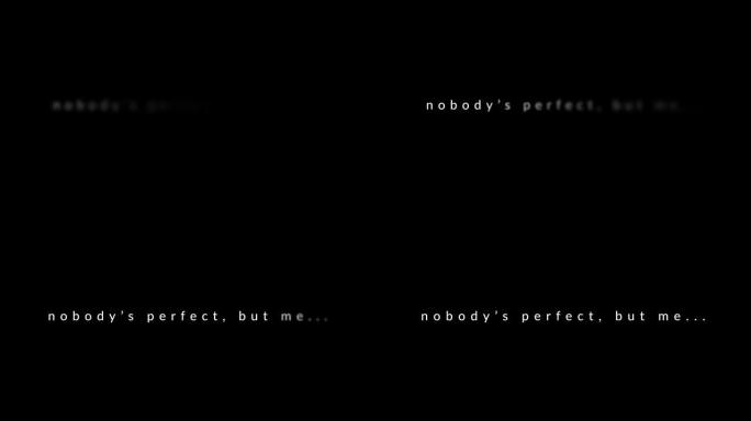 没有人是完美的，但是我...