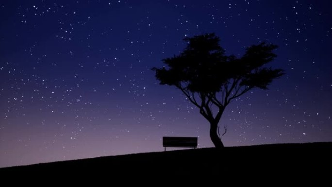 星夜写实镜头。孤独的树，长凳剪影和夜空动画中的星星。星光夜景。浪漫美丽的风景。孤独隐喻4k视频