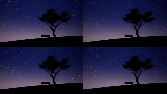 星夜写实镜头。孤独的树，长凳剪影和夜空动画中的星星。星光夜景。浪漫美丽的风景。孤独隐喻4k视频