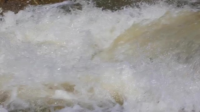 鱼跳跃淡水背景