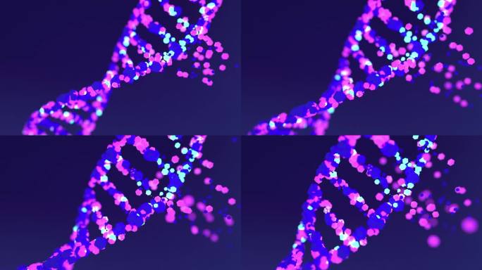 紫色晶体DNA