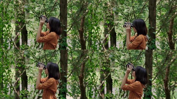亚洲美女旅行，并使用双筒望远镜在森林中寻找鸟。