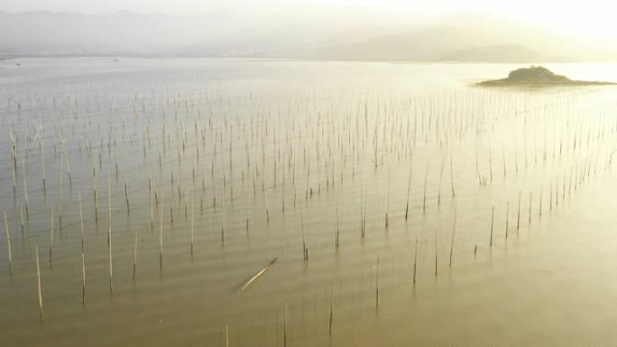 飞越中国的海藻和养鱼场。