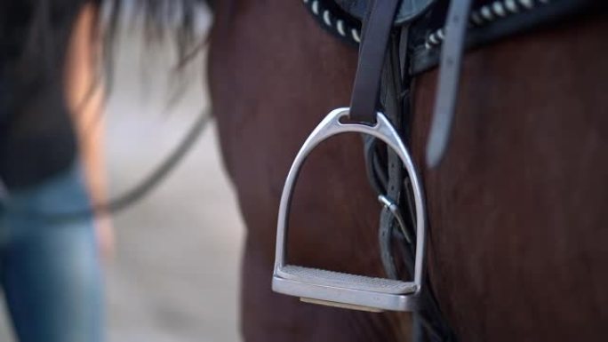 带箍筋的棕色马鞍的细节。马术，动物，农场，运动概念。训练前，女骑士站在种马旁边