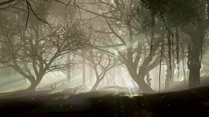雾蒙蒙的黄昏在闹鬼的森林中神奇的萤火虫灯
