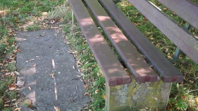 草地上阴凉处的公园长椅