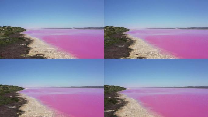 西澳大利亚州格雷戈里港的赫特泻湖粉红湖