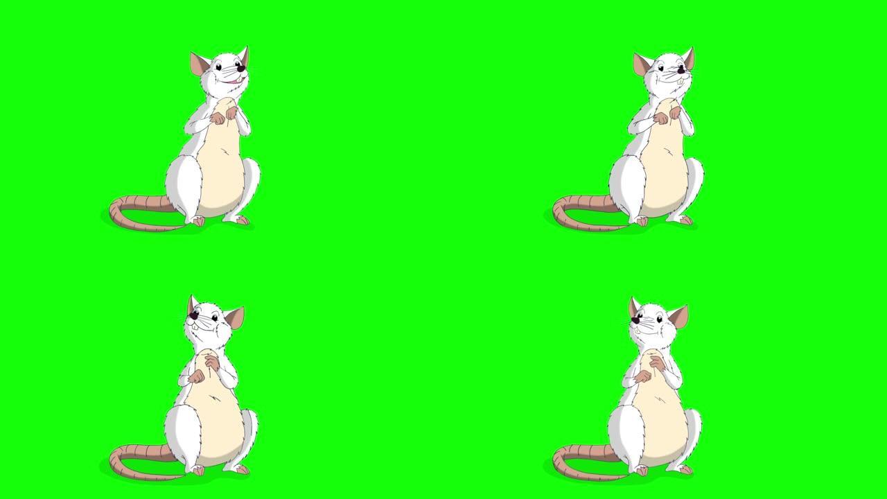 白鼠正坐着说话动画色键