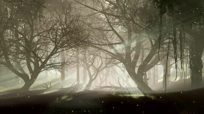 神秘萤火虫灯的恐怖夜森林