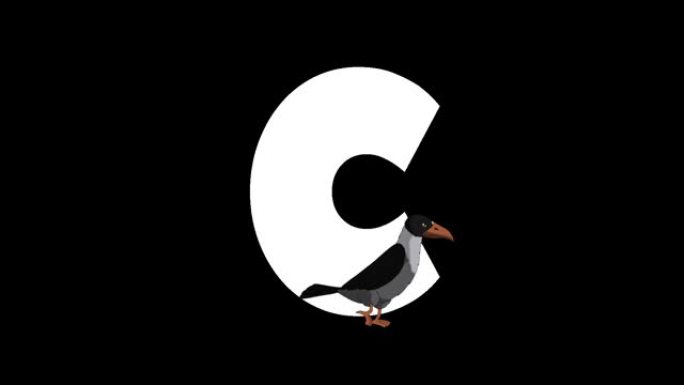 字母C和Crow在前景