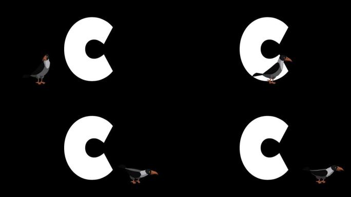 字母C和Crow在前景