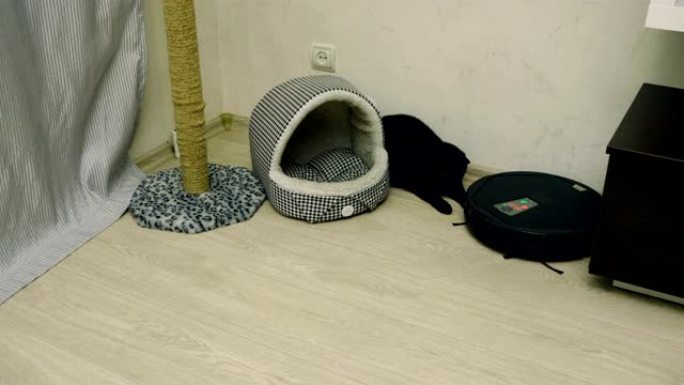 黑猫玩机器人吸尘器清洁地板覆盖物。4K
