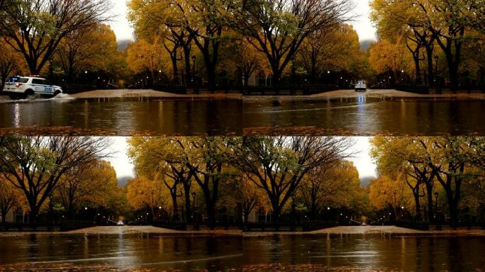 中央公园秋雨自然风光湿润清新公园美景
