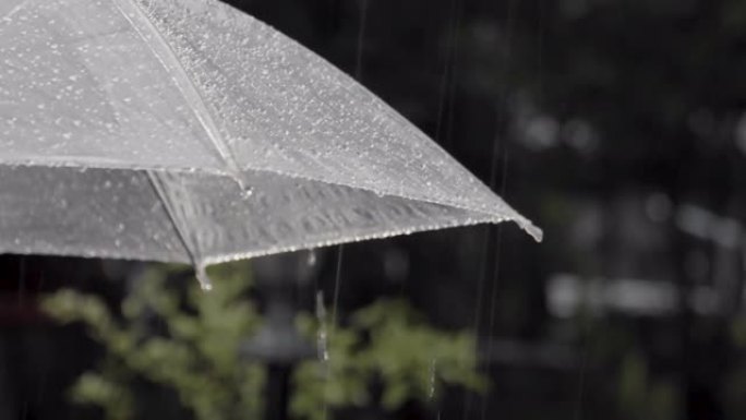 夜间雨下的雨伞