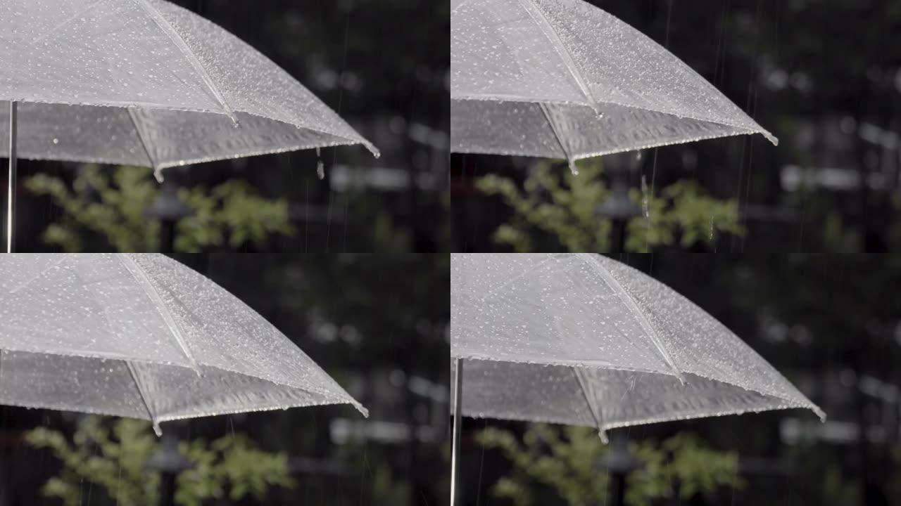 夜间雨下的雨伞
