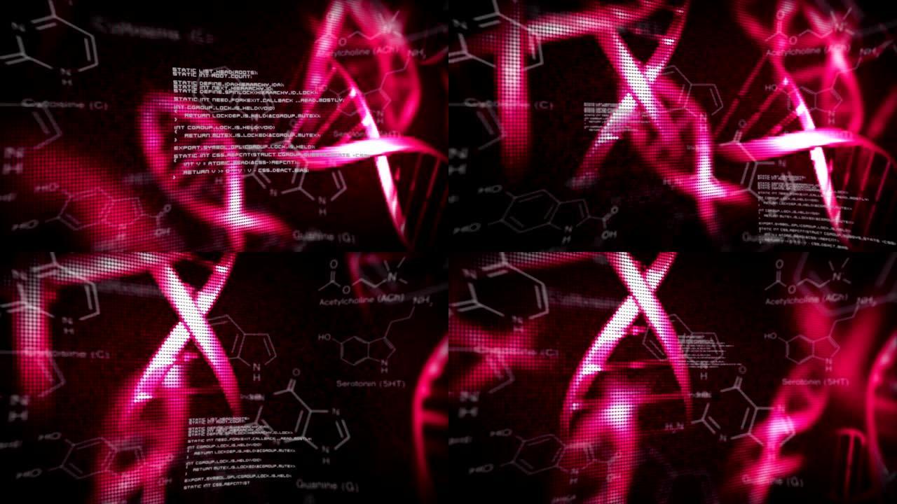 具有化学结构插图的DNA螺旋