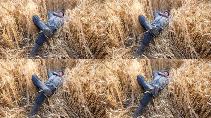 快乐的年轻农民躺在大麦茎上，在大麦草地上休息。小麦茎上的男性农艺师，在谷物田里放松。农业商业概念。关