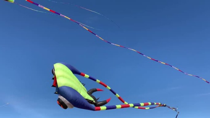 美丽的条纹风筝在蓝天下