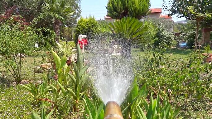 软管浇水花园