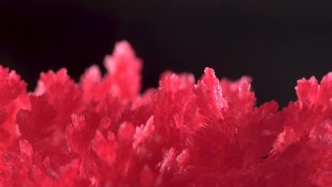 由于使用化学药品的家庭体验，出现了美丽的红色水晶。结晶过程是在正常条件下进行的。简单的化学实验