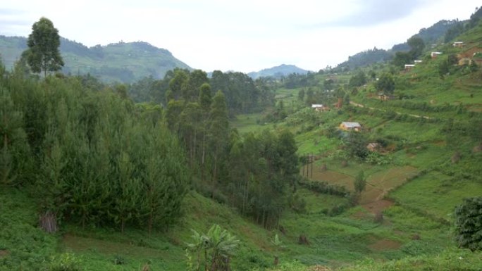 乌干达的景观
