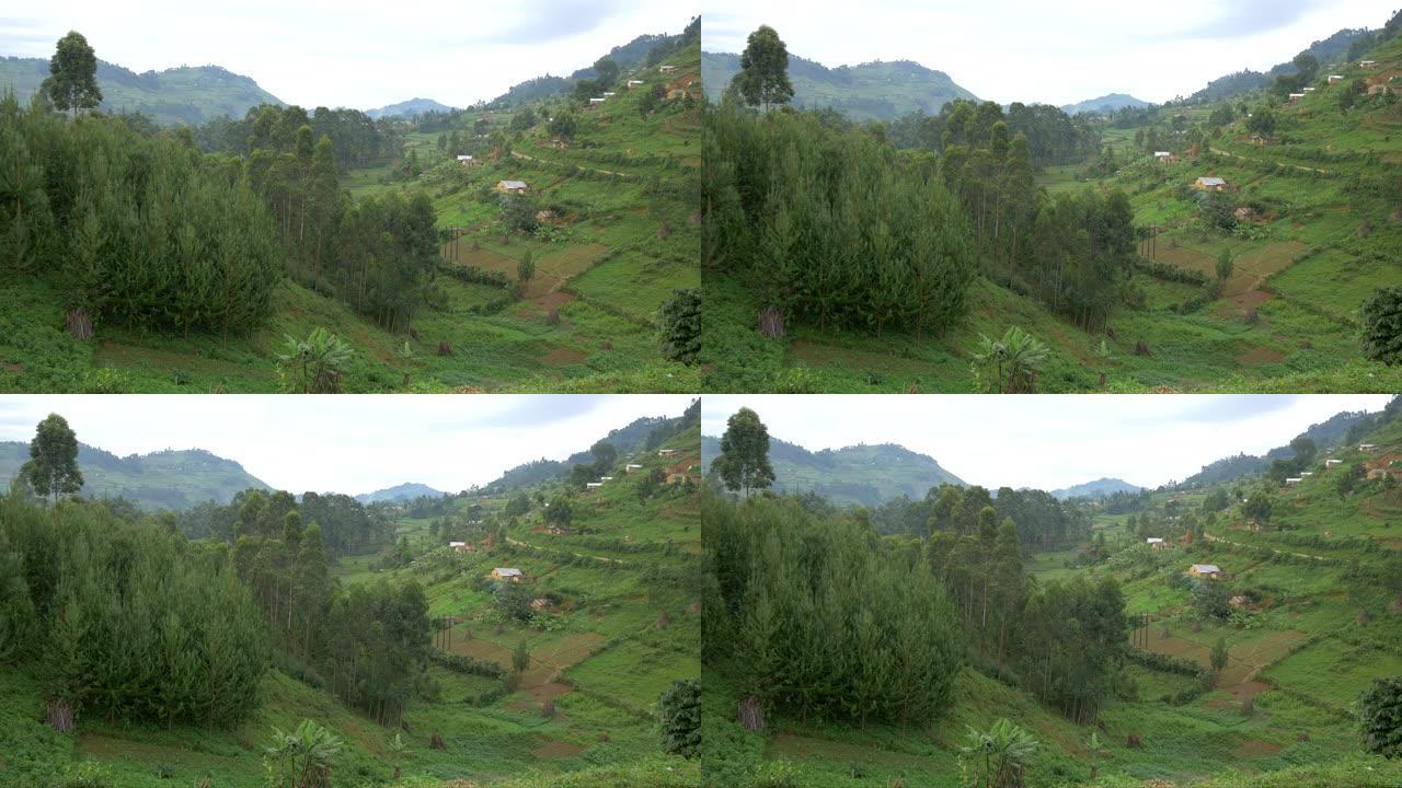 乌干达的景观