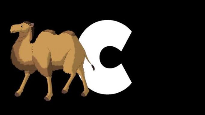字母C和前景上的骆驼