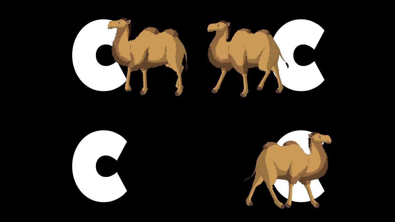 字母C和前景上的骆驼
