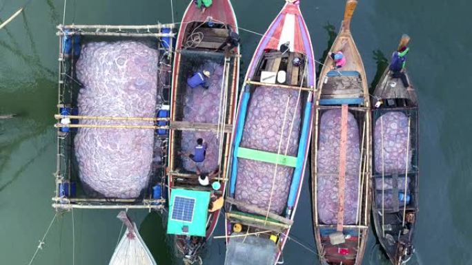 空中射击。泰国Trang带水母渔业的渔船。