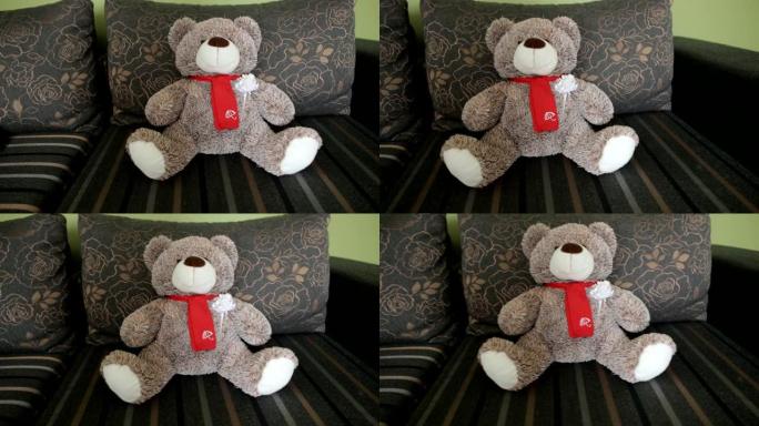 长毛绒棕熊幼崽坐在沙发上