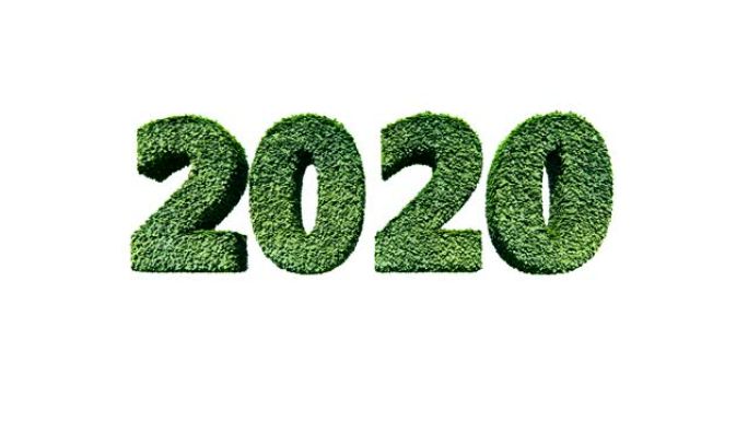 2020新年文字由绿叶吹来，对白