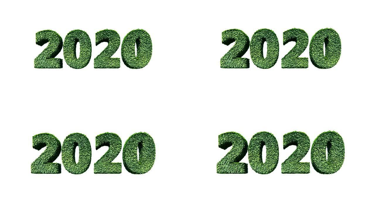 2020新年文字由绿叶吹来，对白