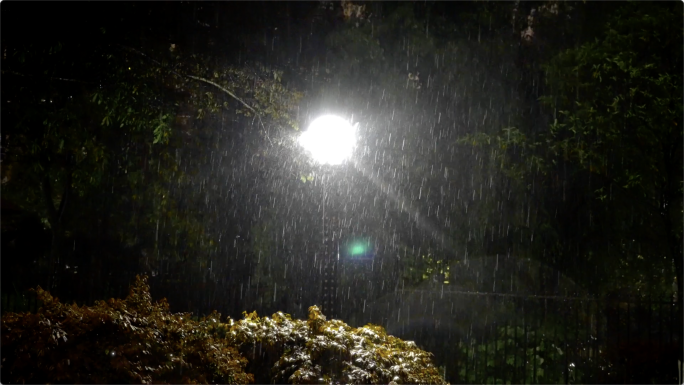 升格下雨夜唯美路灯寂静的夜雨意境雨景