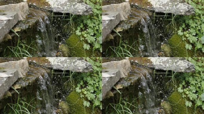 隐藏在绿色自然环境中的慢动作水源特写