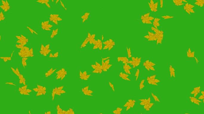 绿屏背景动画上的落叶。秋季自然视频。