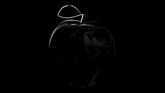 苹果在黑色背景上的地形轮廓动画