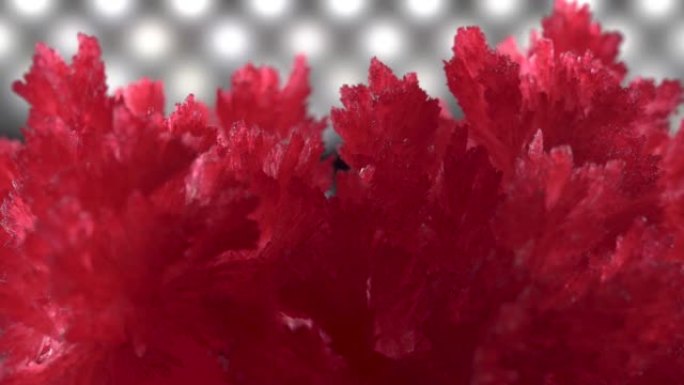 二极管照明背景上美丽的红色晶体。晶体缓慢旋转并闪烁。实验