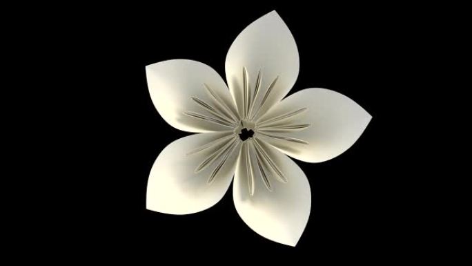 用alpha层盛开的花朵的3D动画